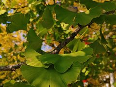 -辽东学院(南校区)