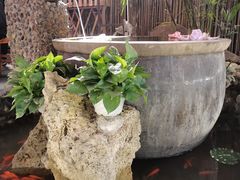 -三道苗苗鱼·美蛙黄辣丁(八里店)