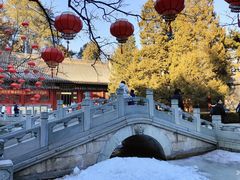 -香山公园