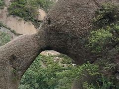 -六里坪国家森林公园