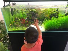 -UCCA Kids 儿童美育