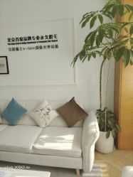 -HEYAN荷妍专业脱毛连锁机构