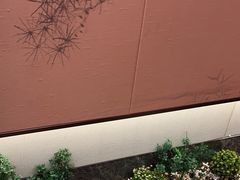 -呷湘厨·鱼汤捞饭·剁椒鱼头·辣椒炒肉(国家会展中心店)