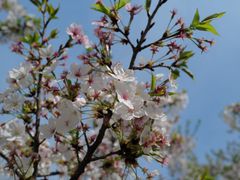 -幕燕滨江·长江观音景区