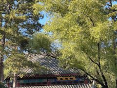 -承德避暑山庄景区