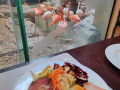 -白虎自助餐厅·真老虎·景观自助餐厅(广州长隆酒店)