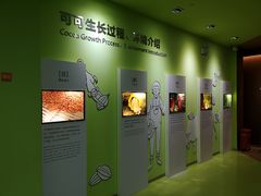 -歌斐颂巧克力小镇