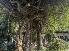 -成都杜甫草堂博物馆