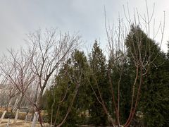 -中关村生命科学园