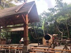 -海南槟榔谷黎苗文化旅游区