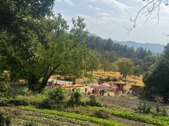 -塔川景区