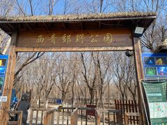 -西青郊野公园