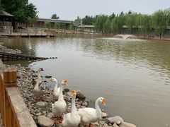 -河北村民俗体验园