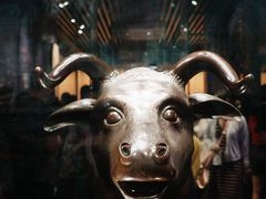 -广西壮族自治区博物馆