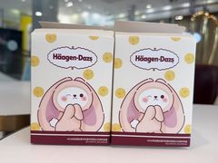 -哈根达斯(西安高新店)