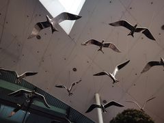 -苏州金鸡湖中茵皇冠假日酒店