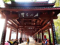 -重庆彩云湖湿地公园