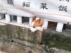 -小梁哥云吞面(黄贝岭店)