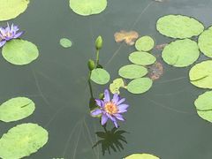 -国家植物园南园