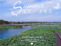 -莲花岛景区
