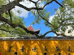 -普陀山雷迪森庄园