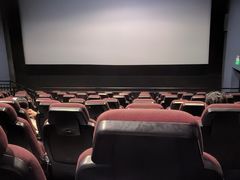 -嘉华国际影城(学清路店)