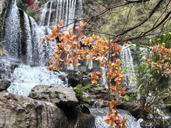 -古龙峡云天玻霸