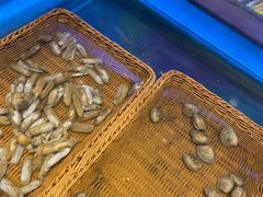 -海鼎荟海鲜姿造(晋江宝龙店)