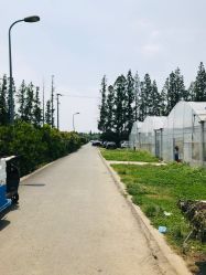 -前小桔亲子创意农场·草莓采摘·露营烧烤