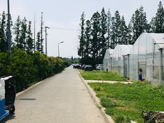 -前小桔亲子创意农场·草莓采摘·露营烧烤