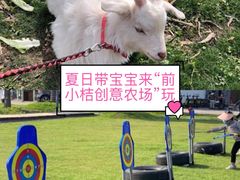 -前小桔亲子创意农场·草莓采摘·露营烧烤