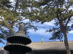 -五台山风景名胜区