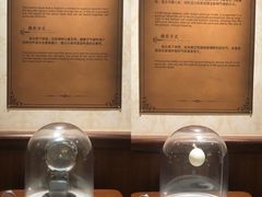 -正佳自然科学博物馆