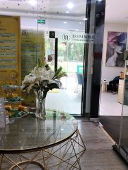 -DEM缔怡美科技美容