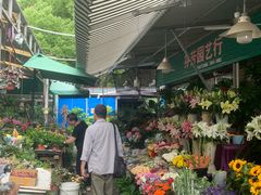 -曲阳花鸟市场(曲阳路店)