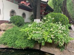 -河北省园博园