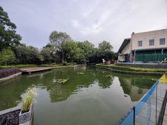 -太阳岛度假酒店