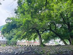 -鹿亭中村