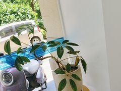 -华集正·专业正骨推拿(集美店)