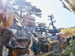 -疯狂屋