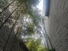 -龙潭水乡