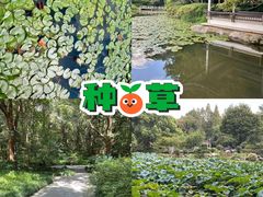-杭州植物园