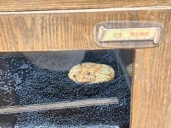 -Zoolung Zoolung动物主题公园(海信广场店)