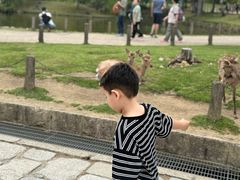 -奈良公园