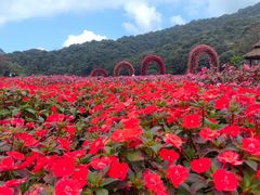 -广州市石门国家森林公园