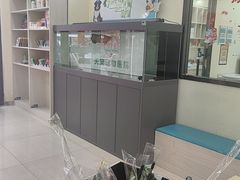 -天宠宠物医院24小时·急重症诊疗中心·全科·腔镜特色(和平分院)