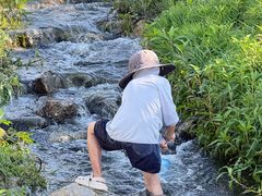 -大理洱海