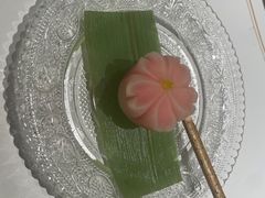 -觀芷隐轩