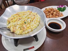 -丁老爷子苏香圆