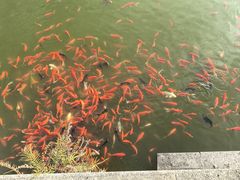 -莆田南少林寺